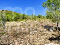 Te koop - Landhuis - Albaida