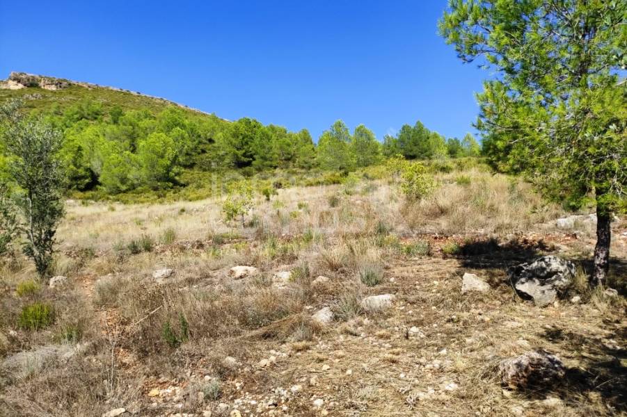 Te koop - Landhuis - Albaida