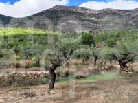 Venta - Casa de Campo - Muro de Alcoy