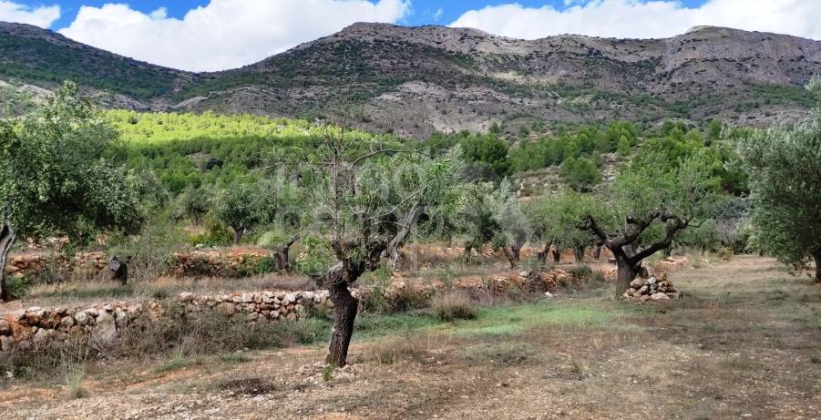 Venta - Casa de Campo - Muro de Alcoy