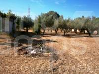 Venta - Casa de Campo - Muro de Alcoy