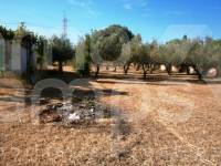 Venta - Casa de Campo - Muro de Alcoy