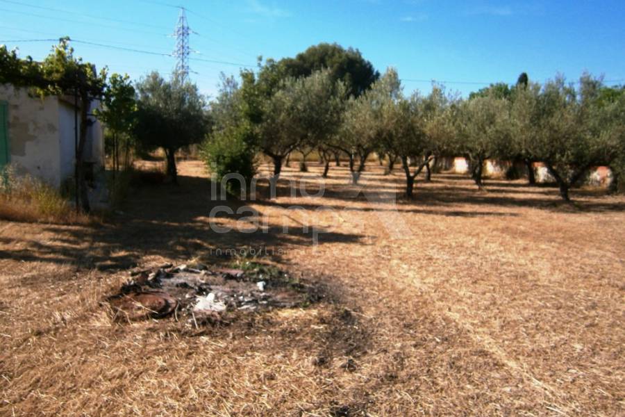 Venta - Casa de Campo - Muro de Alcoy