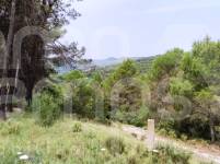 Venta - Finca - Alcoy