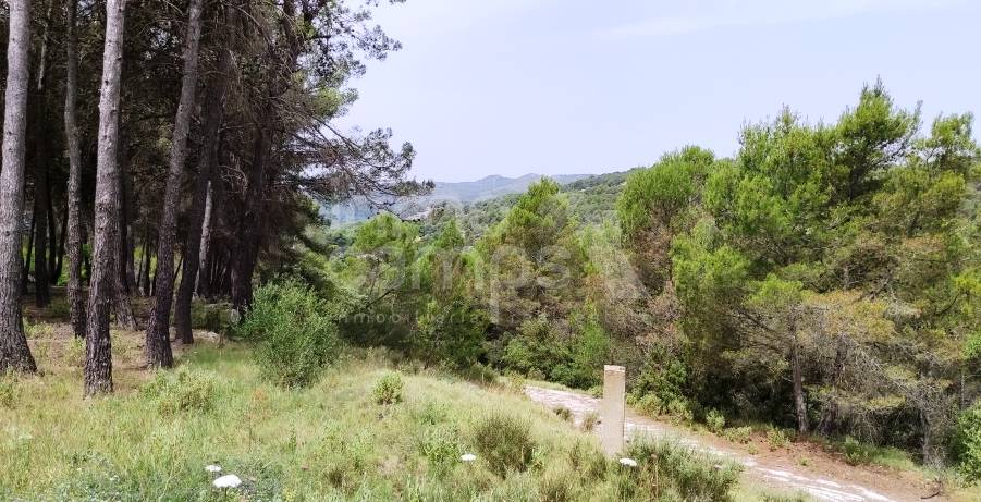 Venta - Finca - Alcoy