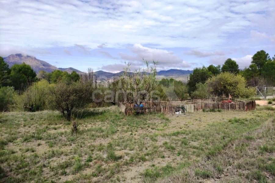 For sale - Country House - Planes