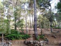 Venta - Casa de Campo - Bocairent