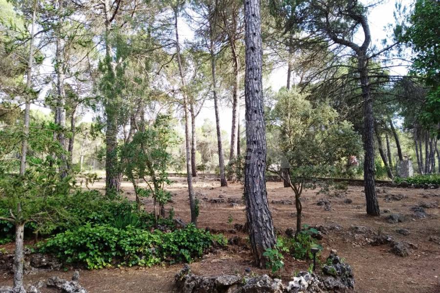 Venta - Casa de Campo - Bocairent