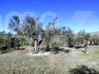 Te koop - Landhuis - Benilloba