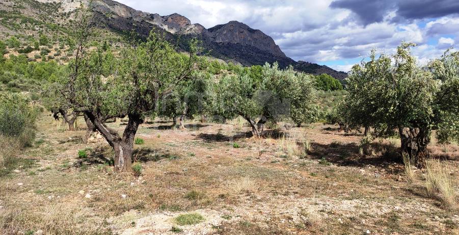 Venta - Casa de Campo - Muro de Alcoy