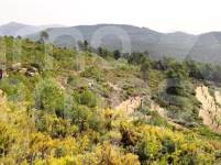 Venta - Finca - Penáguila