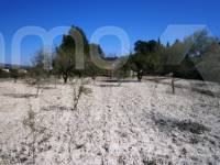 Venta - Casa de Campo - Ontinyent