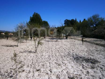 Venta - Casa de Campo - Ontinyent