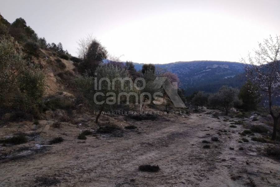 For sale - Rustic Land - Benifallim