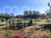 Te koop - Landhuis - Ontinyent