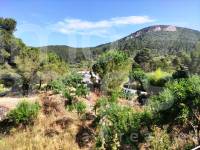 Venta - Casa de Campo - Penáguila