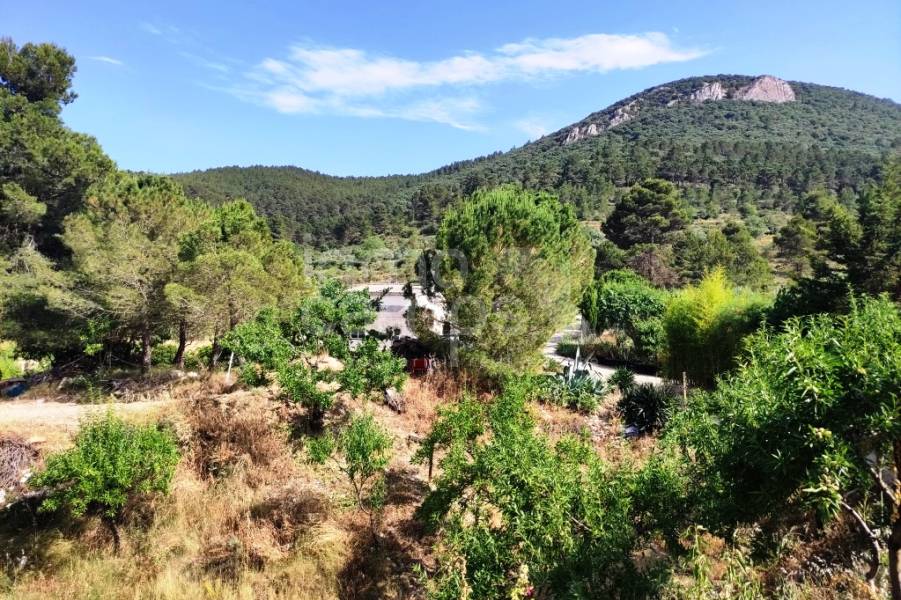Venta - Casa de Campo - Penáguila
