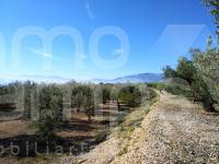 Venta - Casa de Campo - Beniarres