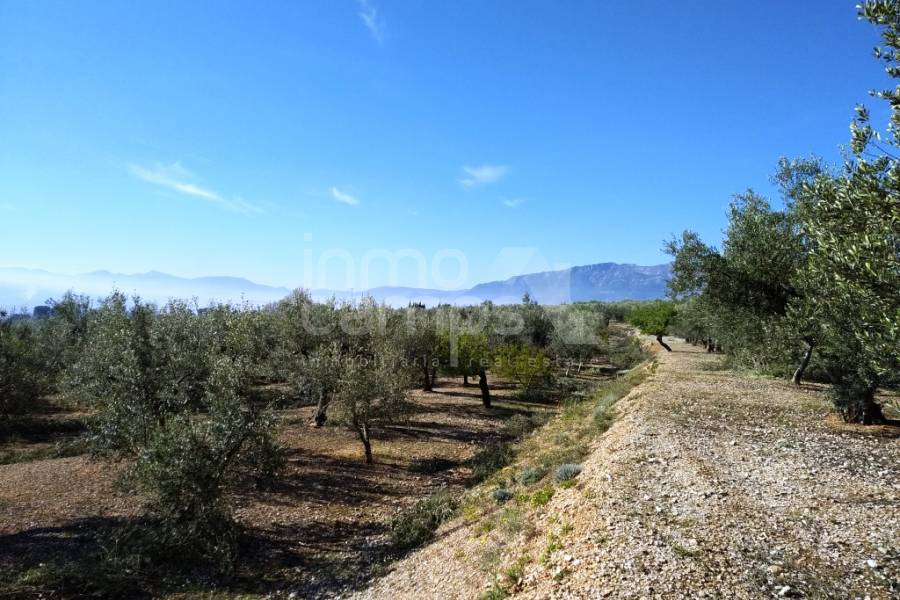 Venta - Casa de Campo - Beniarres