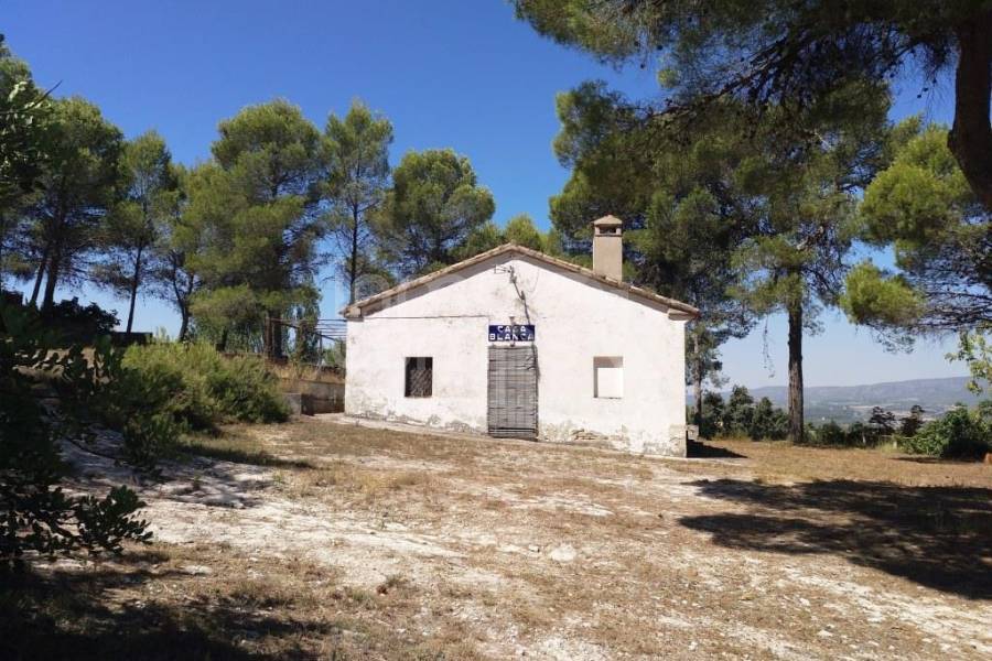 Venta - Casa de Campo - Ontinyent