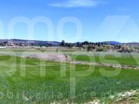 Venta - Parcela Rústica - Alfafara