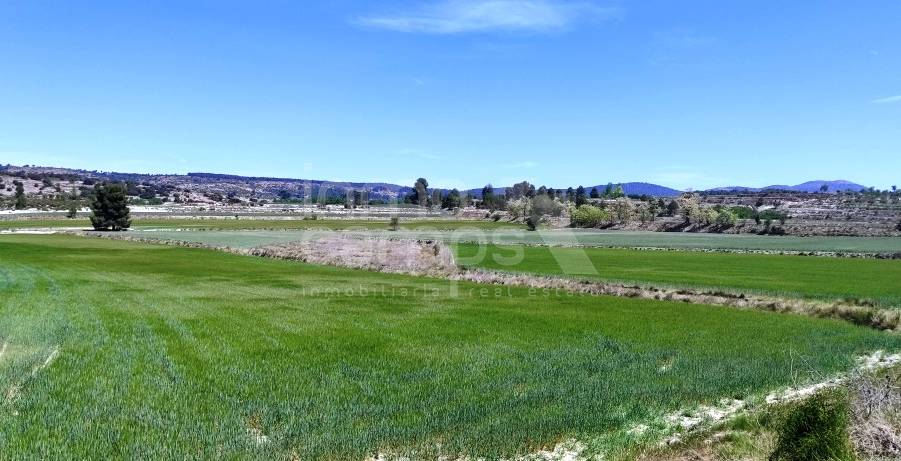 Venta - Parcela Rústica - Alfafara