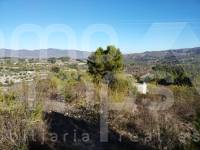 Te koop - Rustiek land - Benillup