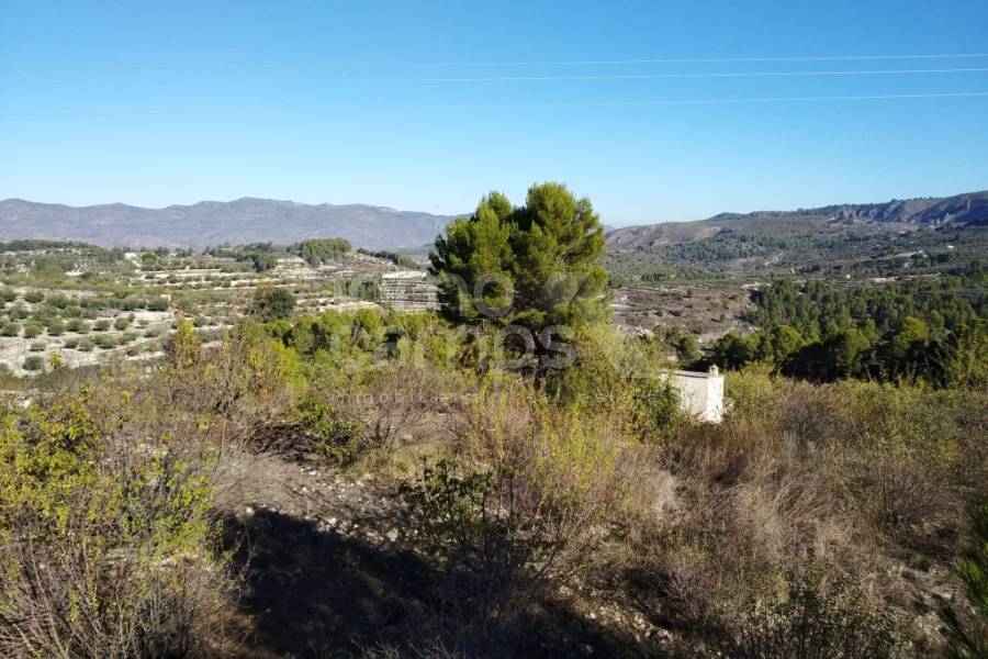 Te koop - Rustiek land - Benillup