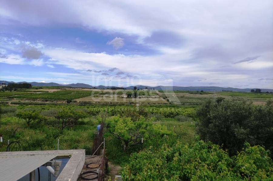 Te koop - Landhuis - Albaida