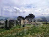 Venta - Finca - Cocentaina