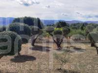 Te koop - Villa - Ontinyent