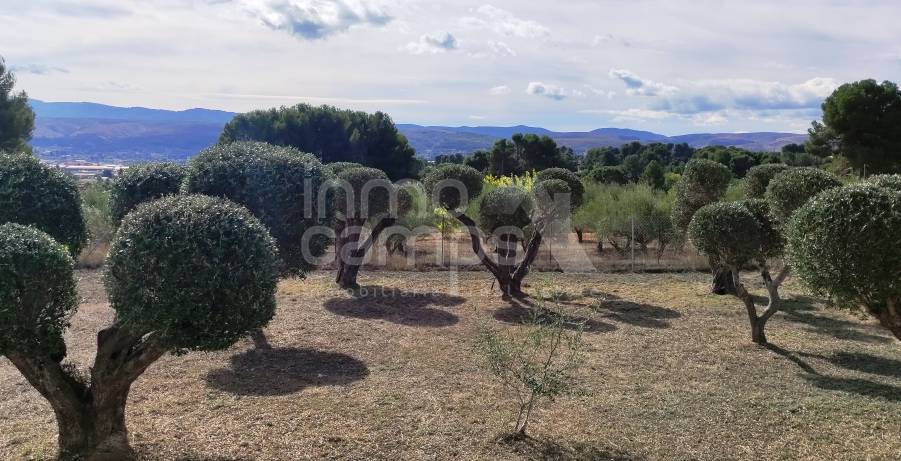 Te koop - Villa - Ontinyent