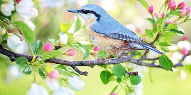 Joyas Naturales de la Costa Blanca: La Font Roja y Sierra de Mariola