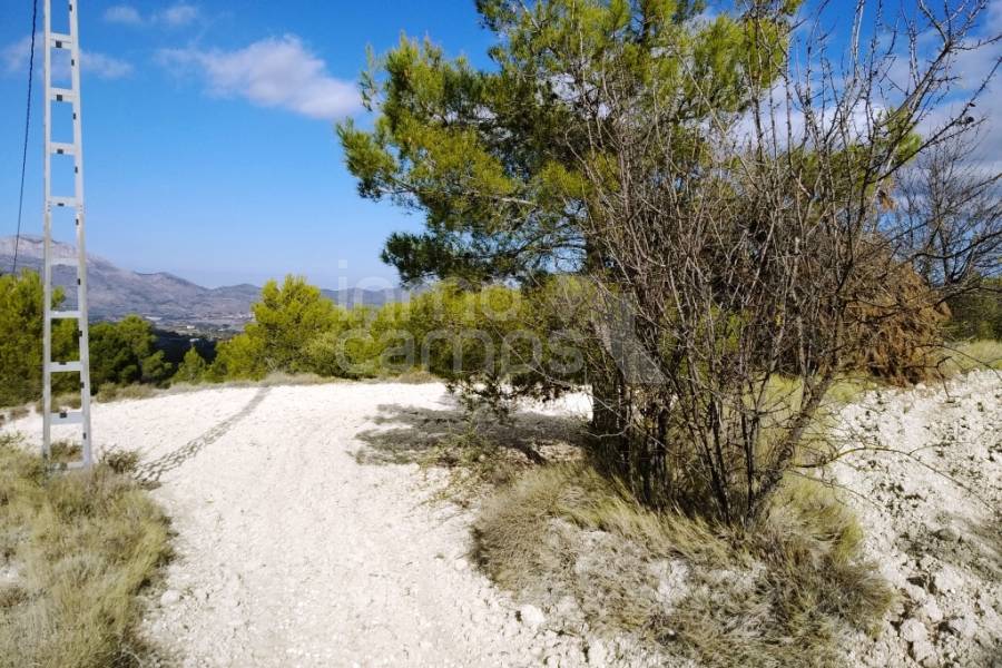 For sale - Rustic Land - Benillup