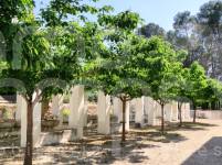 For sale - Finca - Bocairent