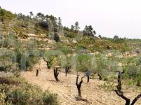 Venta - Finca - Penáguila