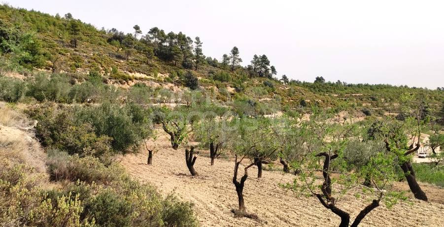 Te koop - Finca - Penáguila