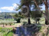 Venta - Finca - Bocairent