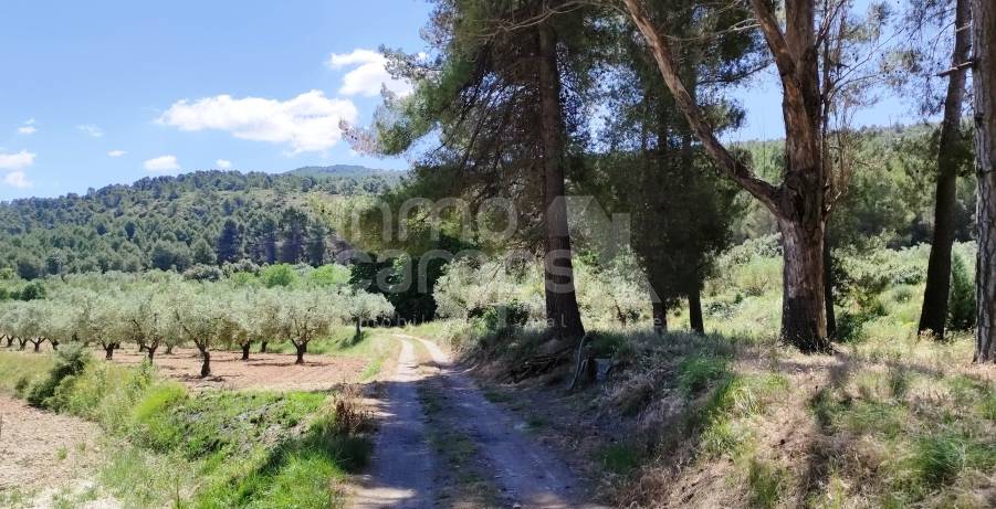 Venta - Finca - Bocairent