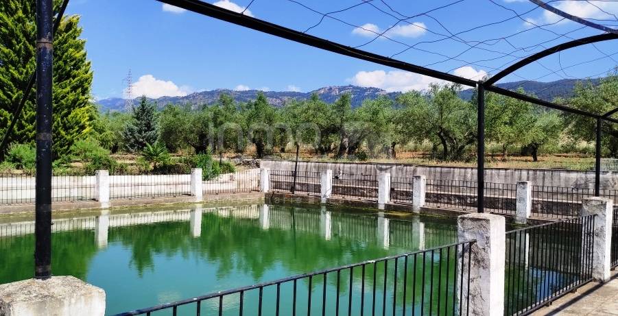 For sale - Finca - Bocairent