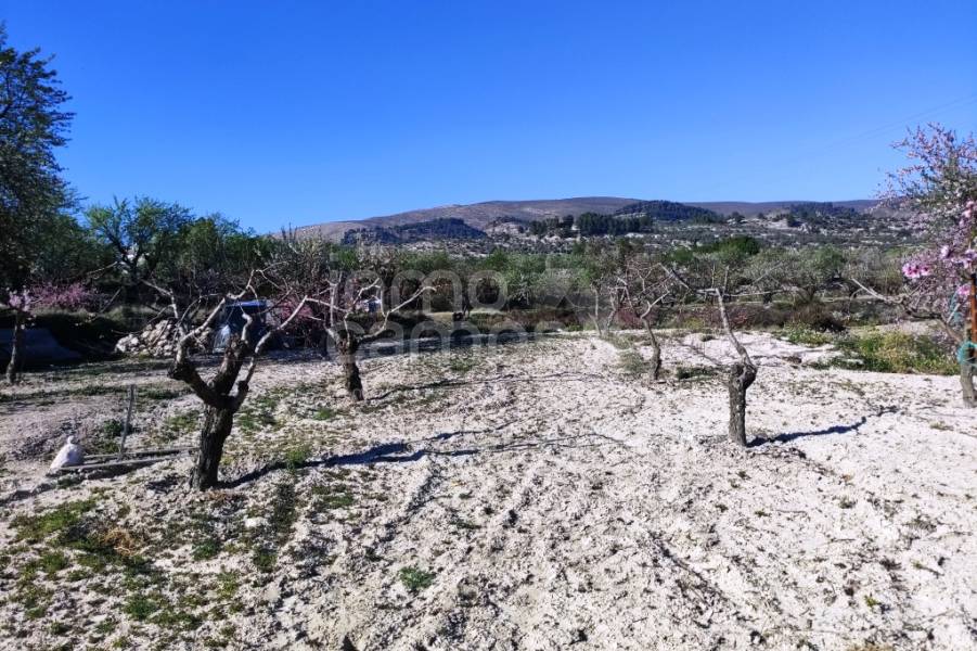 For sale - Country House - Gorga