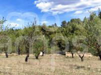 For sale - Rustic Land - Penáguila