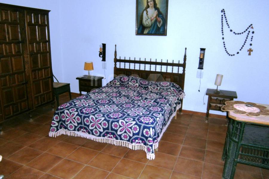 Venta - Finca - Ontinyent