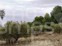 Venta - Casa de Campo - Ontinyent