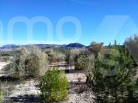 For sale - Rustic Land - Benimarfull