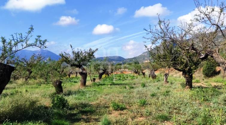 Urban Plot - For sale - Gaianes - Gaianes