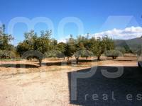 Te koop - Landhuis - Ontinyent