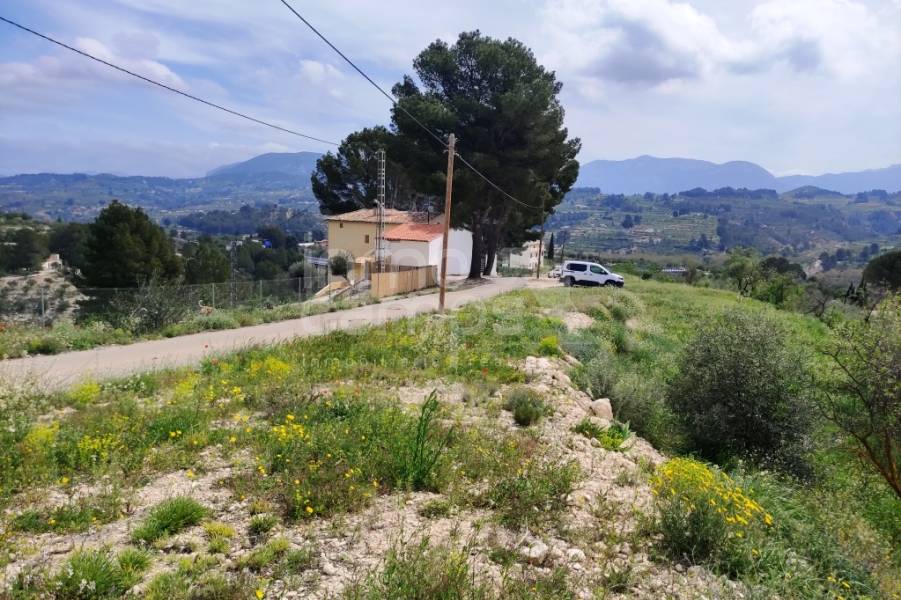 Venta - Finca - Cocentaina