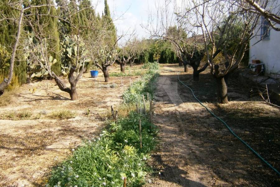 For sale - Country House - Ontinyent