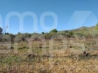 Te koop - Landhuis - Ontinyent